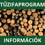 Tzifaprogram